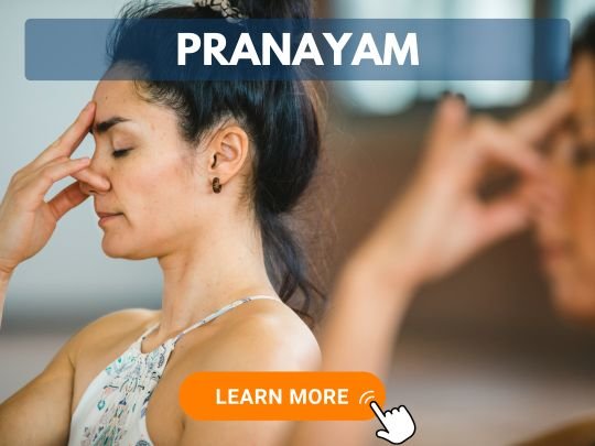 learn online pranayam yoga classes center benefits beginners services